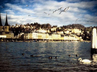 individual-tom-abraham-luzernschwingen